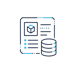ERP Systems