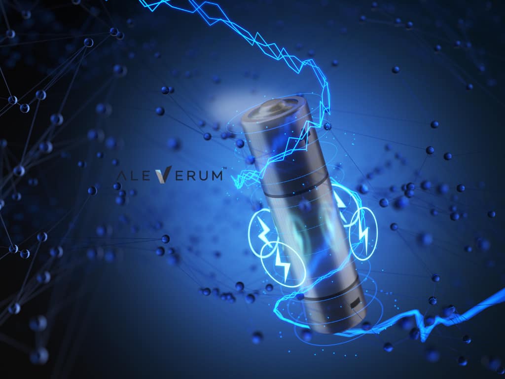 Digital product passport platform connecting battery data supplier evidence and lifecycle records